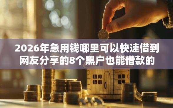 2026年急用钱哪里可以快速借到网友分享的8个黑户也能借款的平台我觉得不错！