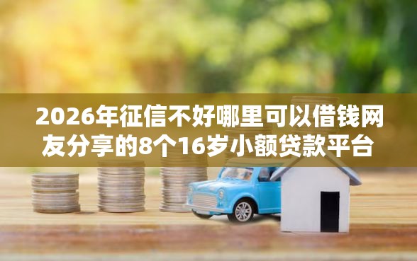 2026年征信不好哪里可以借钱网友分享的8个16岁小额贷款平台我觉得不错！