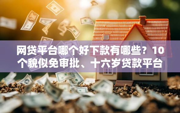 网贷平台哪个好下款有哪些？10个貌似免审批、十六岁贷款平台合集