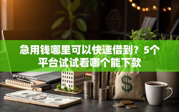 急用钱哪里可以快速借到？5个平台试试看哪个能下款