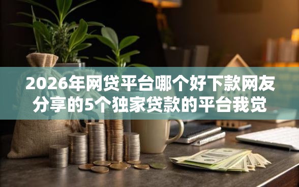 2026年网贷平台哪个好下款网友分享的5个独家贷款的平台我觉得不错！