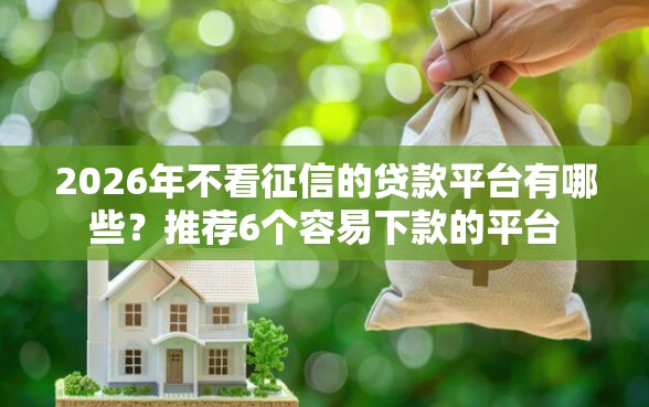 2026年不看征信的贷款平台有哪些？推荐6个容易下款的平台