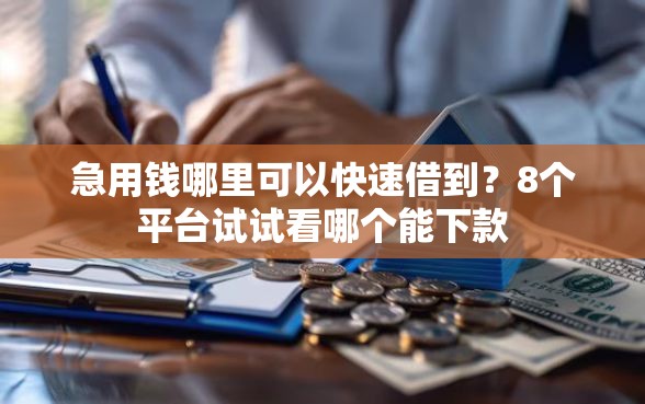 急用钱哪里可以快速借到？8个平台试试看哪个能下款