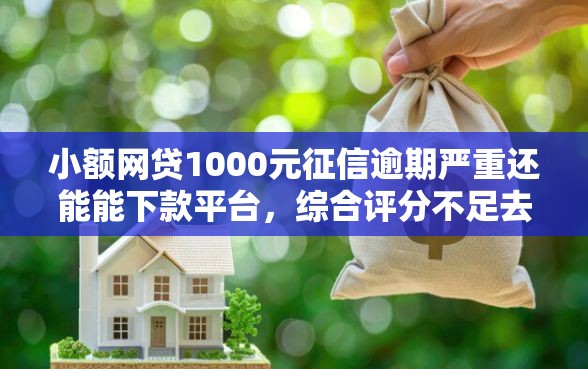 小额网贷1000元征信逾期严重还能能下款平台，综合评分不足去哪借钱的5个平台介绍