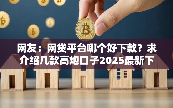 网友：网贷平台哪个好下款？求介绍几款高炮口子2025最新下款苹果手机能下载的