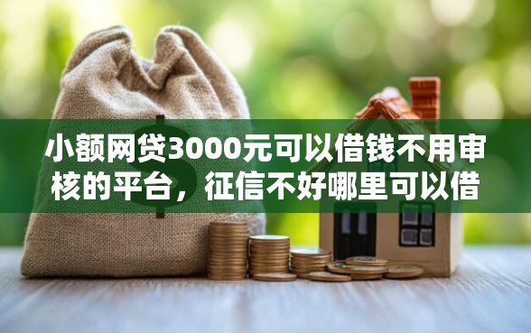 小额网贷3000元可以借钱不用审核的平台，征信不好哪里可以借钱的7个平台介绍