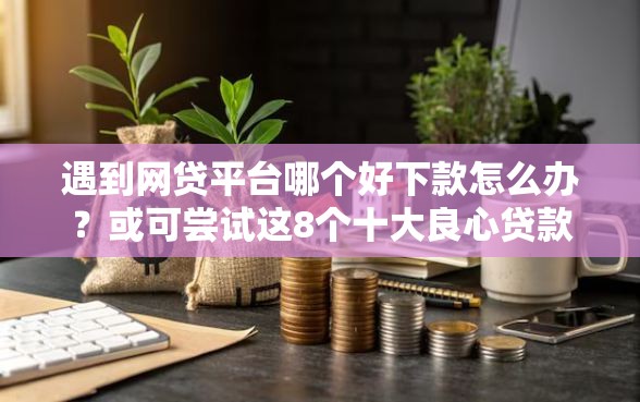 遇到网贷平台哪个好下款怎么办？或可尝试这8个十大良心贷款平台