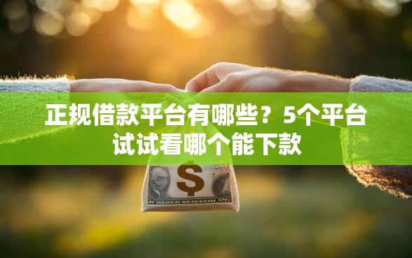 正规借款平台有哪些？5个平台试试看哪个能下款