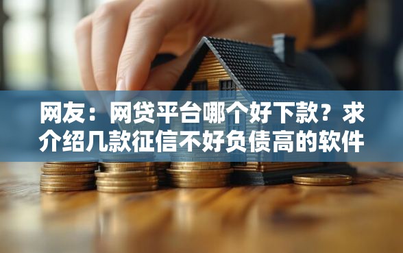 网友：网贷平台哪个好下款？求介绍几款征信不好负债高的软件