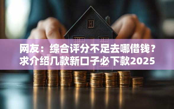 网友：综合评分不足去哪借钱？求介绍几款新口子必下款2025不查征信