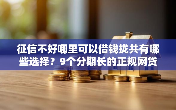 征信不好哪里可以借钱拢共有哪些选择？9个分期长的正规网贷平台详解