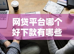 网贷平台哪个好下款有哪些？分享7个企业贷款平台
