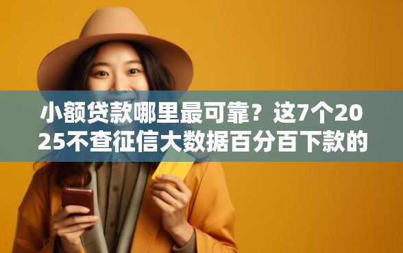 小额贷款哪里最可靠？这7个2025不查征信大数据百分百下款的平台可以试试