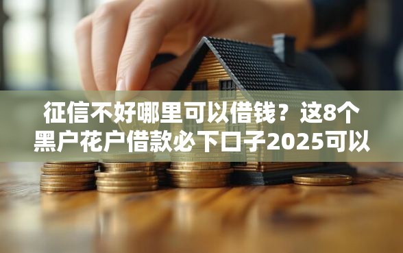 征信不好哪里可以借钱？这8个黑户花户借款必下口子2025可以试试