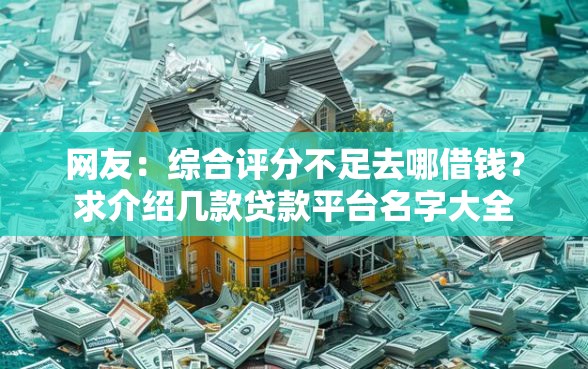 网友：综合评分不足去哪借钱？求介绍几款贷款平台名字大全
