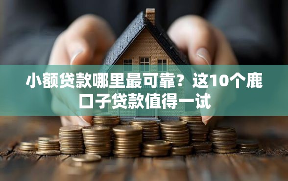 小额贷款哪里最可靠？这10个鹿口子贷款值得一试