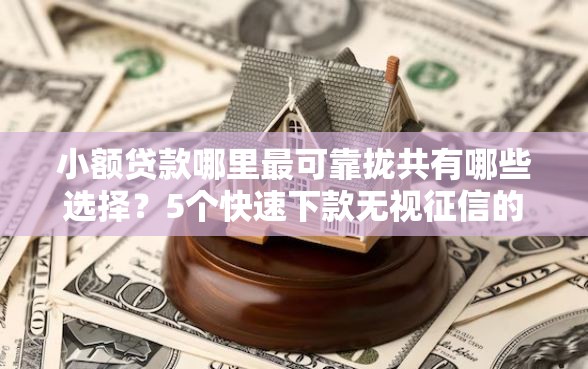 小额贷款哪里最可靠拢共有哪些选择？5个快速下款无视征信的平台详解