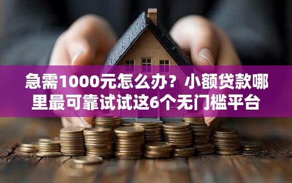 急需1000元怎么办？小额贷款哪里最可靠试试这6个无门槛平台