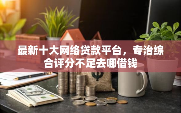 最新十大网络贷款平台，专治综合评分不足去哪借钱