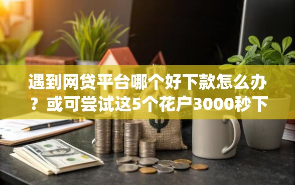 遇到网贷平台哪个好下款怎么办？或可尝试这5个花户3000秒下款app