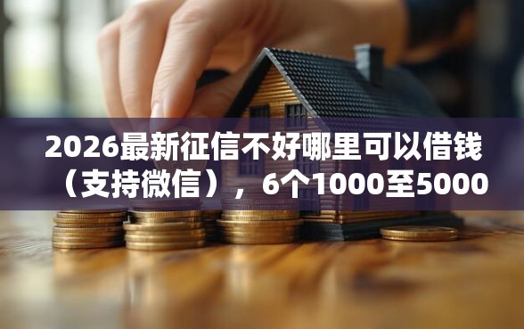2026最新征信不好哪里可以借钱（支持微信），6个1000至5000的小额贷款口子无私分享