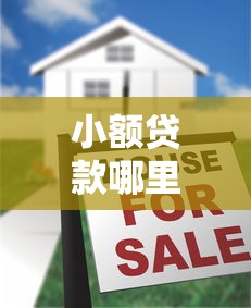 小额贷款哪里最可靠？2026最新测评10个无视一切是人就下款口子