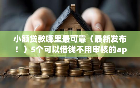 小额贷款哪里最可靠（最新发布！）5个可以借钱不用审核的app