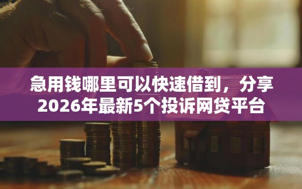 急用钱哪里可以快速借到，分享2026年最新5个投诉网贷平台