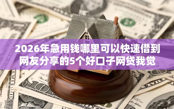 2026年急用钱哪里可以快速借到网友分享的5个好口子网贷我觉得不错！