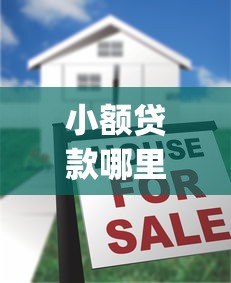 小额贷款哪里最可靠？十大审贷口子审核加快的app推荐