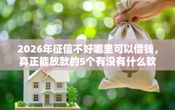 2026年征信不好哪里可以借钱，真正能放款的5个有没有什么软件征信黑了可以贷款推荐