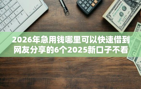 2026年急用钱哪里可以快速借到网友分享的6个2025新口子不看征信我觉得不错！