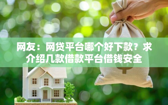 网友：网贷平台哪个好下款？求介绍几款借款平台借钱安全
