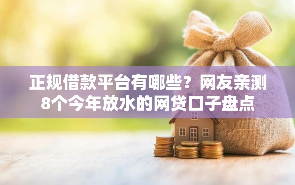正规借款平台有哪些？网友亲测8个今年放水的网贷口子盘点