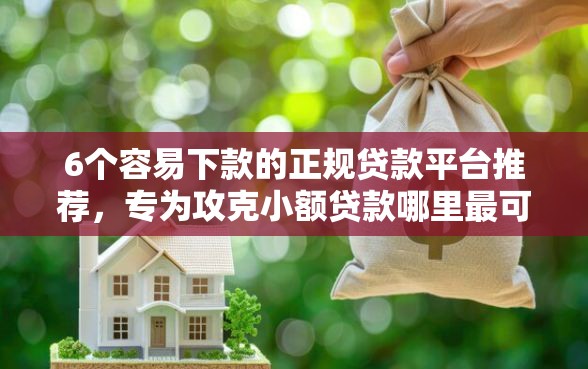 6个容易下款的正规贷款平台推荐，专为攻克小额贷款哪里最可靠难题