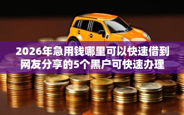 2026年急用钱哪里可以快速借到网友分享的5个黑户可快速办理小额贷款业务的口子我觉得不错！