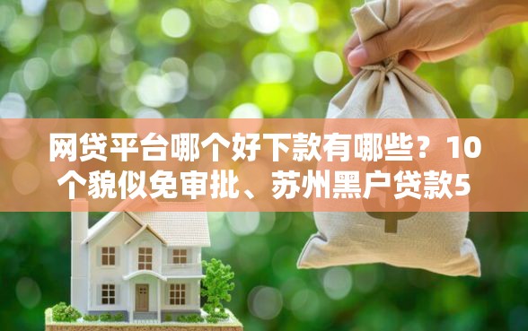 网贷平台哪个好下款有哪些？10个貌似免审批、苏州黑户贷款5万的平台合集