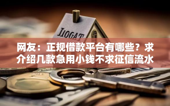 网友：正规借款平台有哪些？求介绍几款急用小钱不求征信流水轻松贷的口子