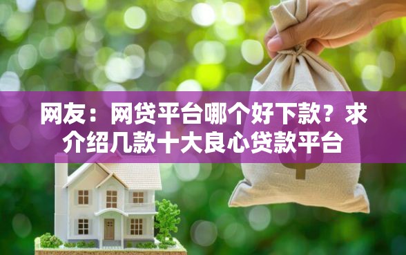 网友：网贷平台哪个好下款？求介绍几款十大良心贷款平台