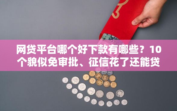 网贷平台哪个好下款有哪些？10个貌似免审批、征信花了还能贷款的正规平台合集