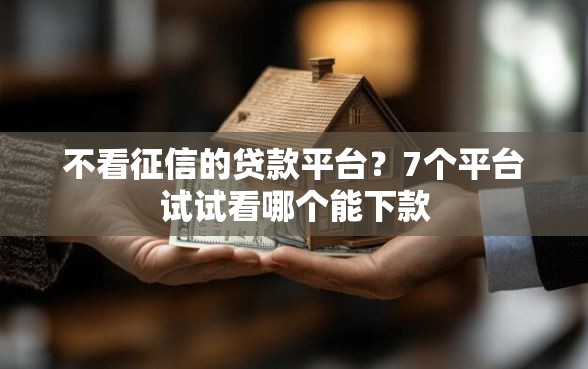 不看征信的贷款平台？7个平台试试看哪个能下款