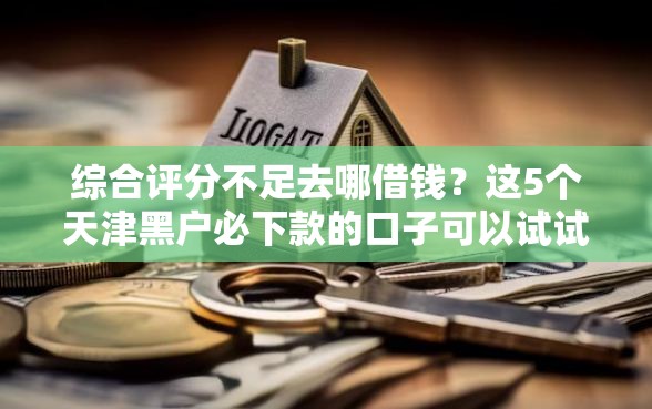综合评分不足去哪借钱？这5个天津黑户必下款的口子可以试试