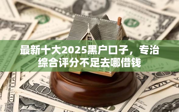 最新十大2025黑户口子，专治综合评分不足去哪借钱