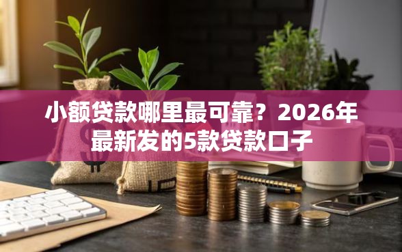 小额贷款哪里最可靠？2026年最新发的5款贷款口子