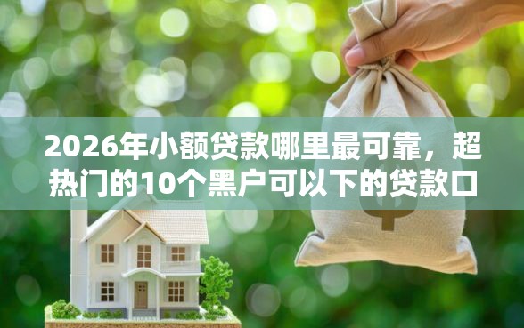 2026年小额贷款哪里最可靠，超热门的10个黑户可以下的贷款口子推荐