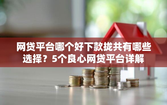 网贷平台哪个好下款拢共有哪些选择？5个良心网贷平台详解