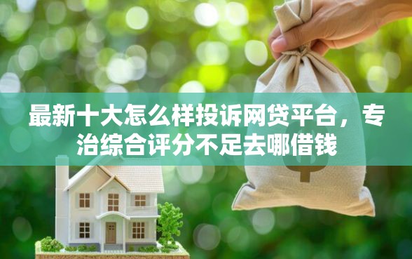 最新十大怎么样投诉网贷平台，专治综合评分不足去哪借钱