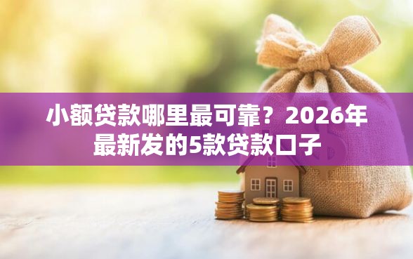 小额贷款哪里最可靠？2026年最新发的5款贷款口子