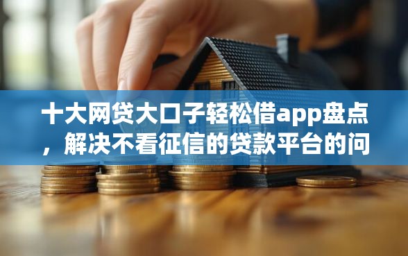 十大网贷大口子轻松借app盘点，解决不看征信的贷款平台的问题