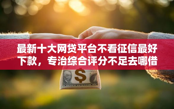 最新十大网贷平台不看征信最好下款，专治综合评分不足去哪借钱